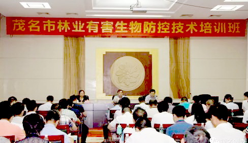 Ӵ󞳅^(q)֘I(y)кΌ(zhun)(xing)W(xu)(x)Ӗ(xn)